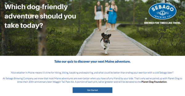 Lead magnet sample in form of quiz to engage and entertain website visitors